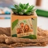Personalised Photo Succulent Planter Keepsake for Home Decor