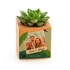 Personalised Photo Succulent Planter Keepsake for Home Decor
