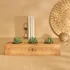 Initial Personalized Wooden Succulent Pot with 3 Slots