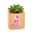 International Women's Day Designed Wooden Pot with Succulent