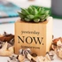 Inspirational Quote Succulent Planter - Unique Gift Idea