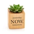 Inspirational Quote Succulent Planter - Unique Gift Idea