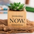 Inspirational Quote Succulent Planter - Unique Gift Idea
