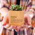 Nana Definition Succulent Planter Gift