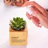 Nana Definition Succulent Planter Gift