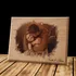 Personalised Watercolour Wooden Photo Gift