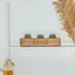 Personalized 3 Slots Wooden Planter