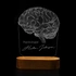 Personalised Brain Design LED Lamp for Psychologists