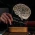 Personalised Brain Design LED Lamp for Psychologists
