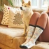 Personalized Multicolor Rainbow Dog Design Socks with Name and Picture