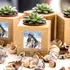 Personalized Pet Dad Succulent Planter