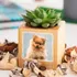 Personalized Pet Photo Wooden Naturacube