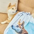 Personalized Picture Water Color Design Printed Ultra Absorbent Pet Towel