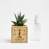 Personalised Lawyer Succulent Planter with Justice Scales Design