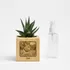 Personalised Pet Photo Succulent Planter Unique Wooden Gift