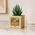 Personalised Pet Photo Succulent Planter Unique Wooden Gift