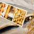 Set of 10 Photo Printed Bookmarks