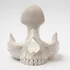 Skull Eyeglass Stand Holder - Gothic Desk Display Gift