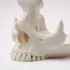 Skull Eyeglass Stand Holder - Gothic Desk Display Gift