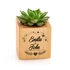 Succulent Pot Anniversary Gifts for Couples with Magic Design