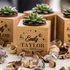 Personalised Succulent Planter with Engraved Name