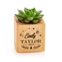 Personalised Succulent Planter with Engraved Name