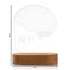 Brainy Banter 3D LED Lamp for Home and Office Decor