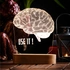 Brainy Banter 3D LED Lamp for Home and Office Decor