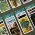 Van Gogh Playing Cards