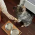 Wooden Dog Food and Water Bowl