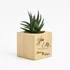 You and Me Succulent Pot
