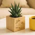 You and Me Succulent Pot